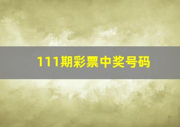 111期彩票中奖号码