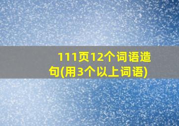 111页12个词语造句(用3个以上词语)