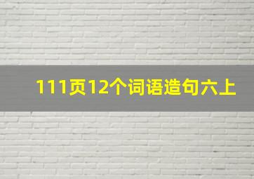 111页12个词语造句六上