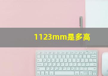 1123mm是多高