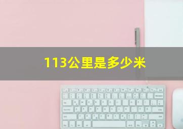 113公里是多少米