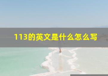 113的英文是什么怎么写