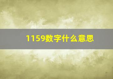 1159数字什么意思