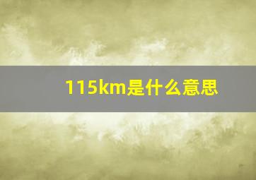 115km是什么意思