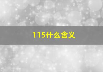 115什么含义