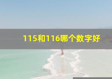 115和116哪个数字好