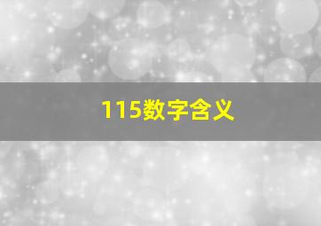 115数字含义