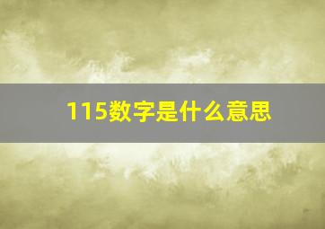 115数字是什么意思