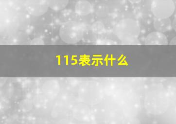 115表示什么