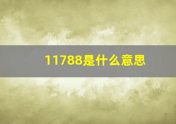 11788是什么意思