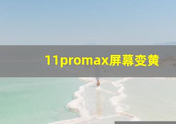 11promax屏幕变黄