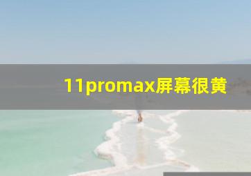 11promax屏幕很黄