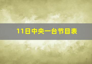 11日中央一台节目表