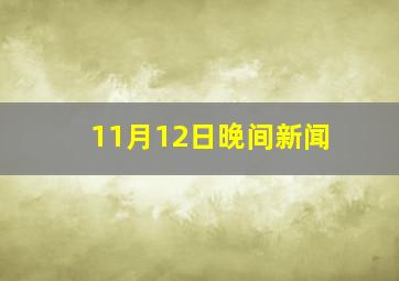 11月12日晚间新闻