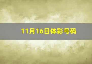 11月16日体彩号码