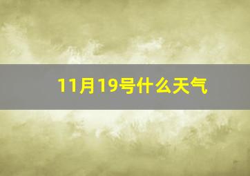 11月19号什么天气