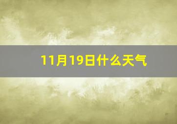 11月19日什么天气