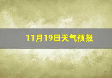 11月19日天气预报