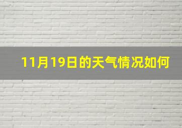 11月19日的天气情况如何