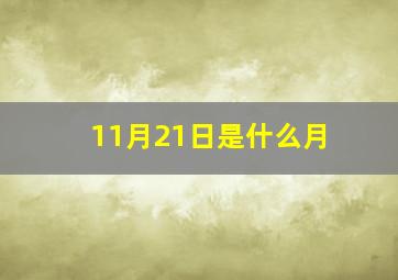 11月21日是什么月