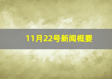 11月22号新闻概要