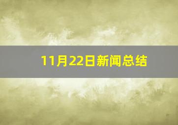 11月22日新闻总结