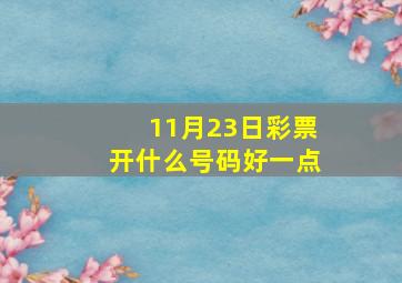 11月23日彩票开什么号码好一点