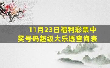 11月23日福利彩票中奖号码超级大乐透查询表