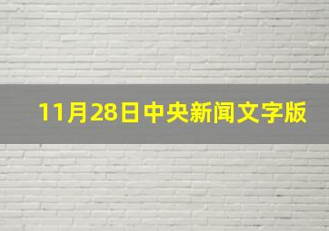 11月28日中央新闻文字版