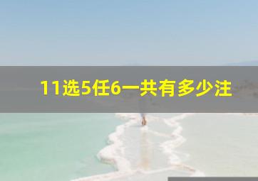 11选5任6一共有多少注