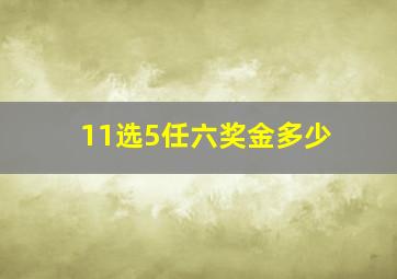 11选5任六奖金多少