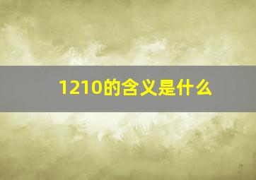 1210的含义是什么