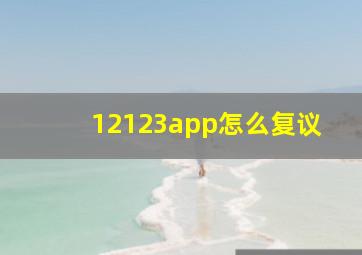 12123app怎么复议