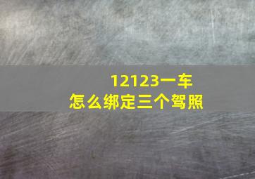 12123一车怎么绑定三个驾照