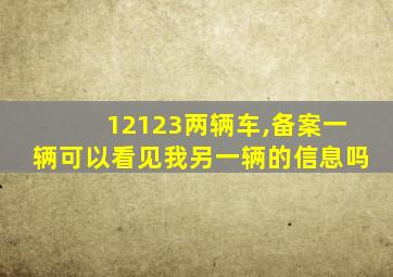 12123两辆车,备案一辆可以看见我另一辆的信息吗