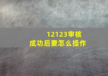 12123审核成功后要怎么操作