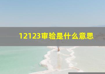 12123审验是什么意思