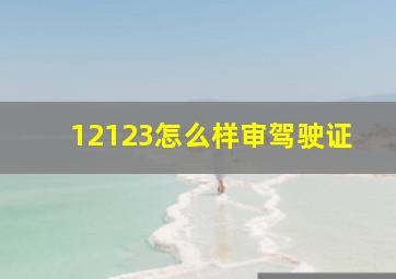 12123怎么样审驾驶证