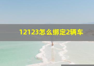 12123怎么绑定2辆车