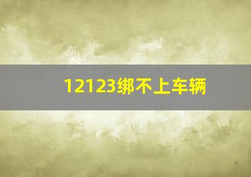 12123绑不上车辆