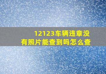 12123车辆违章没有照片能查到吗怎么查