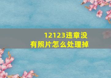 12123违章没有照片怎么处理掉