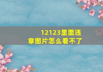 12123里面违章图片怎么看不了