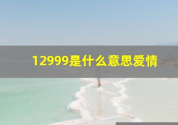 12999是什么意思爱情