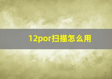 12por扫描怎么用