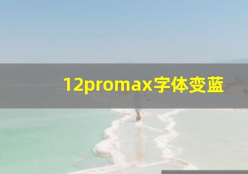 12promax字体变蓝