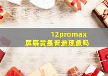 12promax屏幕黄是普遍现象吗