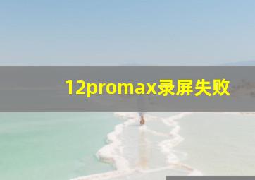 12promax录屏失败