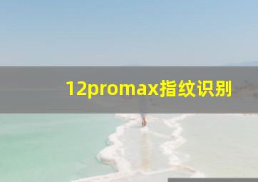 12promax指纹识别