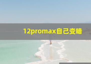 12promax自己变暗